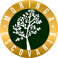 logo_moringa